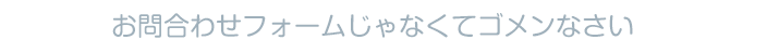 お問合わせフォームじゃなくてゴメンなさい