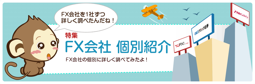 FX会社 個別詳細チェック