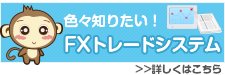 気になるFXトレードシステム