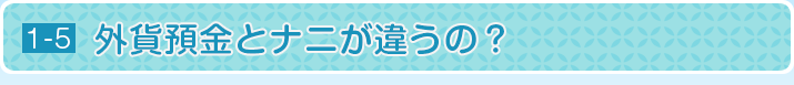 外貨預金とナニが違うの？