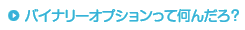 バイナリーオプションって何んだろ？