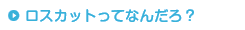 ロスカットってなんだろ？
