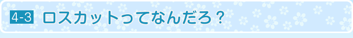 ロスカットってなんだろ？