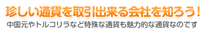 珍しい通貨を取引出来る会社を知ろう！ - 中国元やトルコリラなど特殊な通貨も魅力的な通貨なのです